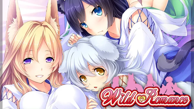 Wild Romance 封面