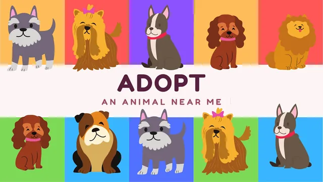 Adopt an Animal Near Me 封面