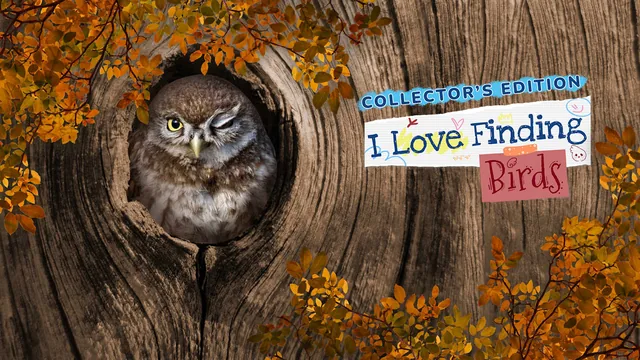 I Love Finding Birds Collector's Edition 封面