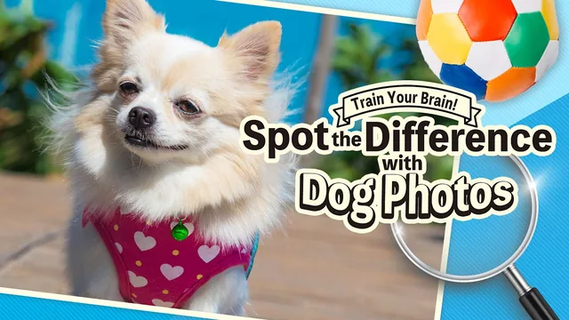 Train Your Brain! Spot the Difference with Dog Photos 封面