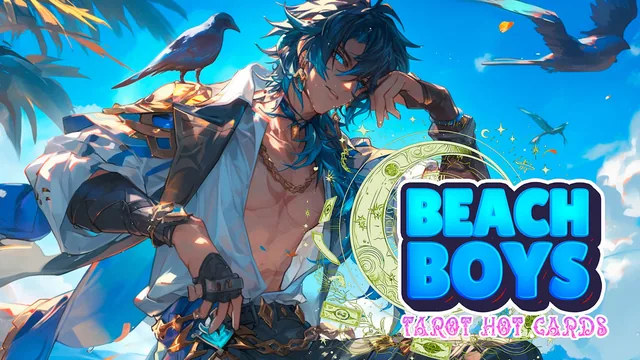 Beach Boys: Tarot Hot Cards 封面