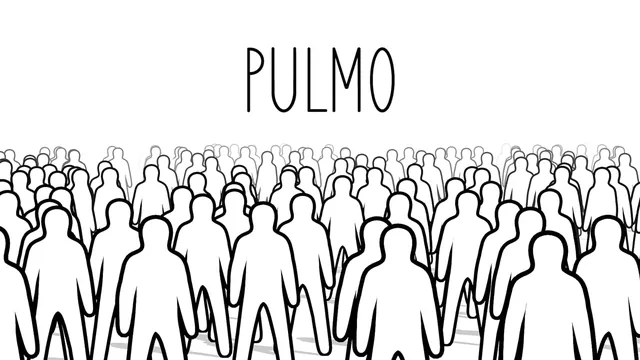 PULMO 封面
