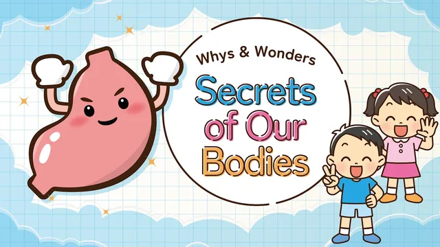 Whys & Wonders Secrets of Our Bodies 封面