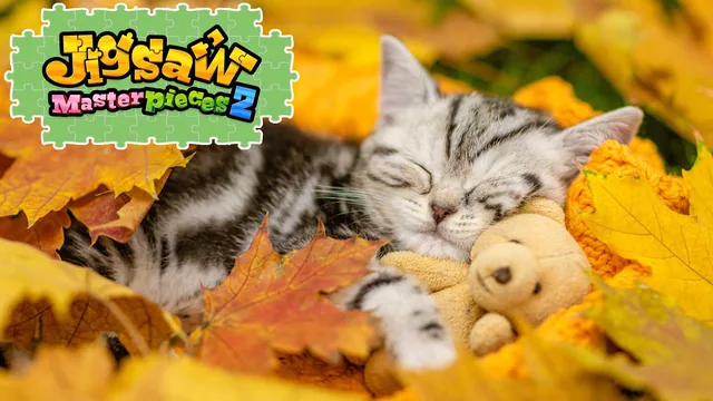 Sweet Kittens 封面