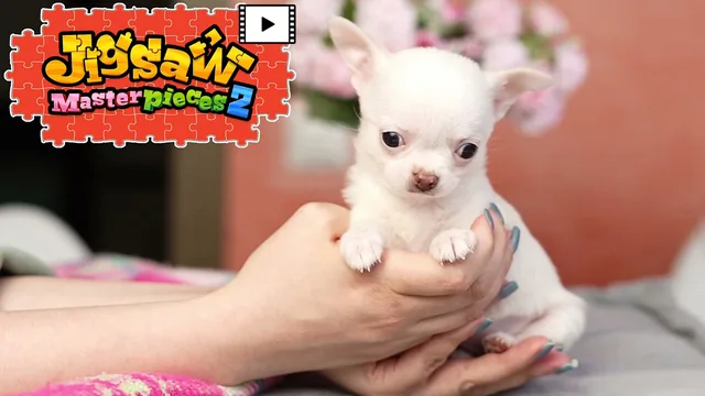 [Moving] Fluffy Puppies 封面