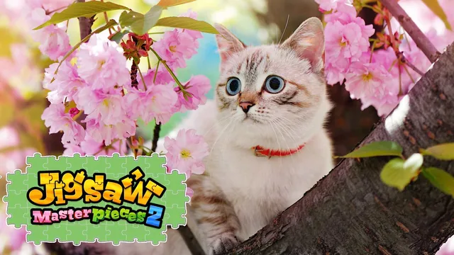 Cats with Flowers 封面