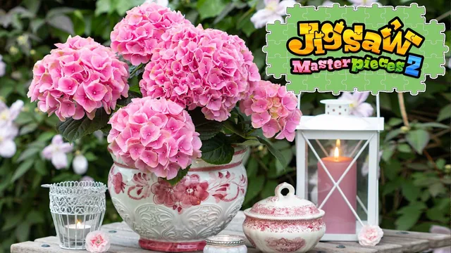 Moments of Floral Delight 封面