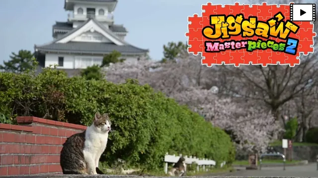 [Moving] Street Cats in Japan 封面