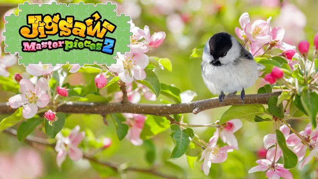 Little Songbirds 封面