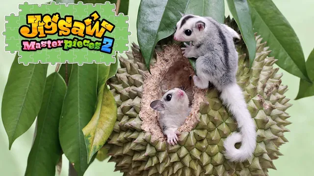 Cuddly Little Animals 封面